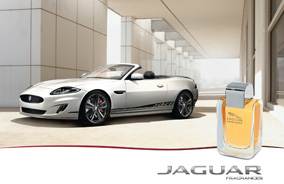 jaguar-excellence-line-284x184