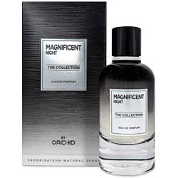 orchid-magnificent-night-box